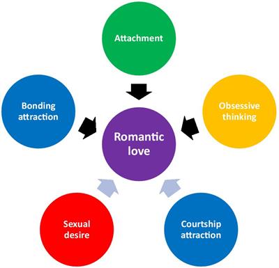 Romantic love evolved by co-opting mother-infant bonding